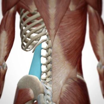 Болката може да се появи в различни области на гърба
